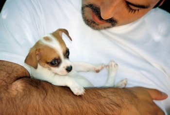 Mu&scaron;karac drži kučence u naručju