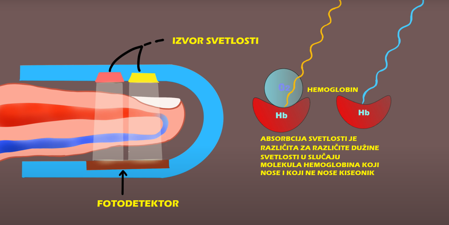 Kako radi pulsni oksimetar - osvetljavanje prsta svetlosnim zracima različite dužine